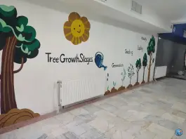 عکس دبستان پسرانه علوی در سردار جنگل تهران 6
