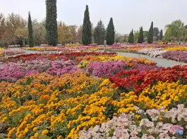 عکس باغ گیاهان دارویی و صنعتی «باغ گیاهشناسی» در محله سرو آزاد تهران 2