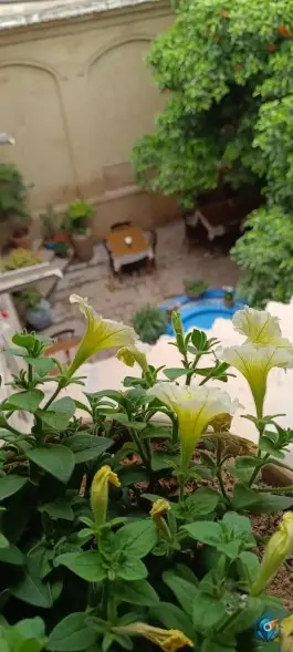 عکس رستوران خانه سنتی پرهامی در محله گود عربان شیراز 2