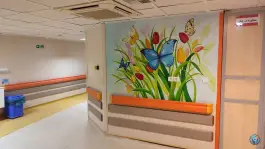 عکس بیمارستان نمازی در محله ملاصدرا شیراز 7