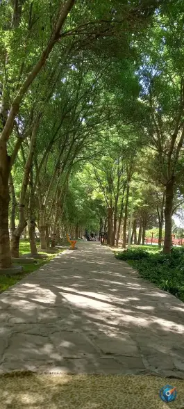 عکس ورودی پارکینگ عمومی شماره ۵ بوستان بهار در محله خواجه ربیع مشهد 9