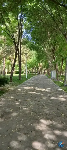 عکس ورودی پارکینگ عمومی شماره ۵ بوستان بهار در محله خواجه ربیع مشهد 10