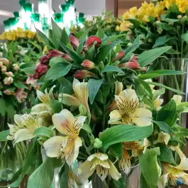 عکس هتل قصرالضیافه مشهد در محله حرم مطهر رضوی 5