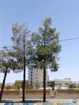 عکس بیمارستان فوق تخصصی رازی بیرجند 4