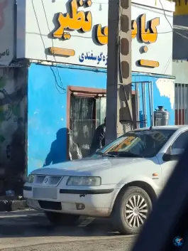 عکس کباب بی نظیر در بلوار امام رضا تربت حیدریه 1