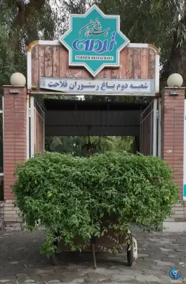 عکس های باغ رستوران ترمه در دزفول