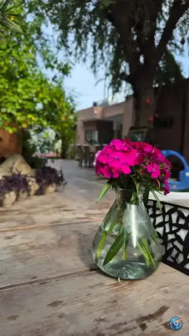 عکس باغ رستوران ترمه در دزفول 5