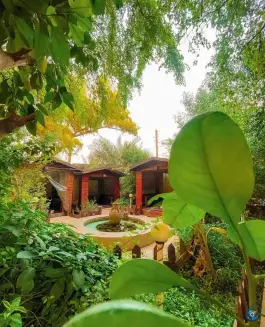 عکس باغ رستوران ترمه در دزفول 8