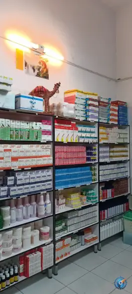 عکس داروخانه دامپزشکی دکتر بروجنی در شهرک کوثر چابهار 3