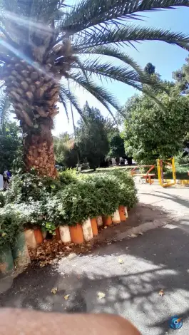 عکس هنرستان نمونه دولتی طالقانی، گود خزینه، شیراز 4