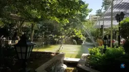 عکس رستوران استخر ونک تهران 9