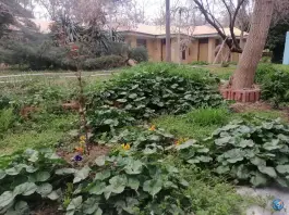عکس هتل جهانگردی مشهد، کوی پلیس، مشهد 5