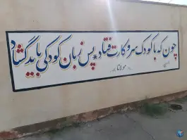 عکس دبستان و پیش دبستانی شکوفه های امید، بلوار شهید محلاتی، لالی 5