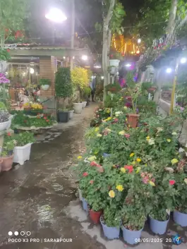 عکس باغ رستوران مزرعه، دره فرحزاد، تهران 3