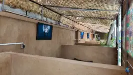 عکس سفره خانه سنتی نخلستان ماهور، چهارراه گمرک سابق، شیراز 3