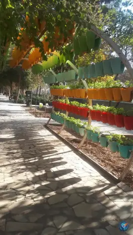 عکس بوستان صدر، بلوار امام موسی صدر، قم 9