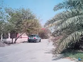 عکس موسسه آموزش عالی تابناک، بلوار معلم، لامرد 2
