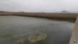 عکس استخر آب کشاورزی، جاده الله آباد، مبارکه، اصفهان 2