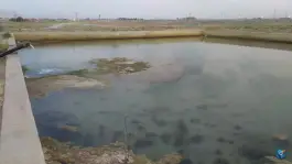 عکس استخر آب کشاورزی، جاده الله آباد، مبارکه، اصفهان 3
