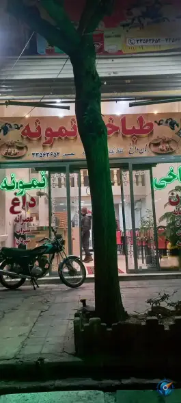 عکس طباخی نمونه، ری، تهران 3