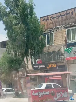 عکس فلافل ساندویچ بلوط، بین زیتون و فجر، شیراز 1