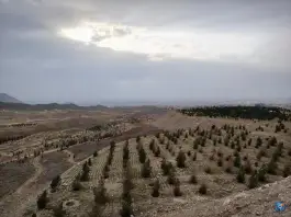 عکس تفرجگاه نرجس خاتون، پارک ملی سرخه حصار، تهران 2
