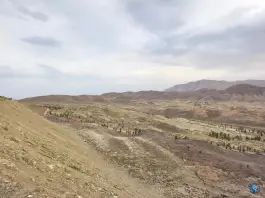 عکس تفرجگاه نرجس خاتون، پارک ملی سرخه حصار، تهران 4