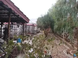 عکس رستوران و بیرون بر استپ افشین مطلق، جاده باغ نشاط شیراز 2