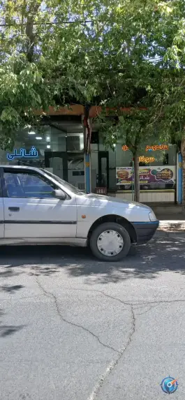 عکس های ساندویچی پیتزا شانلی، هریس