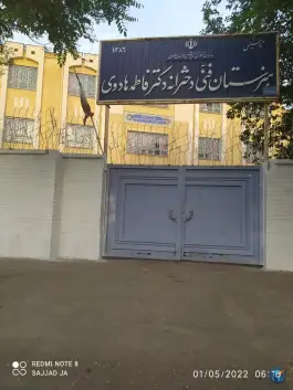 عکس هنرستان فنی دخترانه دکتر فاطمه هادوی، محله انقلاب مشهد 2