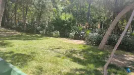 عکس بوستان حضرت ابوالفضل عباس (ع) محله حاج زینل قم 6