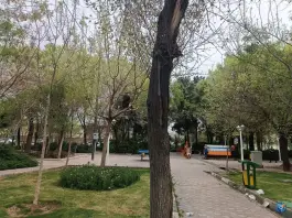 عکس بوستان قائم (عج) قم، پل شهید مصطفی خمینی 2