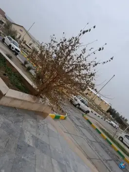پردیس جدید دانشگاه ملی زابل، بلوار دانشگاه، زابل