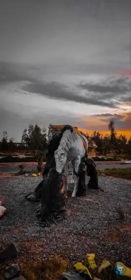 عکس پردیس جدید دانشگاه ملی زابل، بلوار دانشگاه، زابل 7