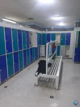 عکس استخر سرتاوه طوقچی اصفهان 5