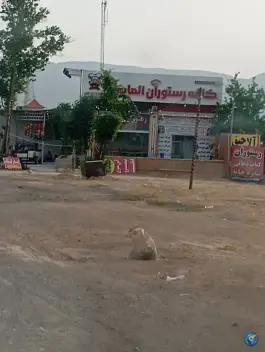 عکس کافه رستوران الماس، بزرگراه شیراز-جهرم، شیراز 1