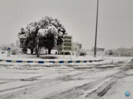 عکس دانشگاه کاشان، قطب راوندی، کاشان 2