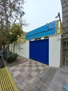 دبستان پسرانه درخشش دانایی، محله هروی، تهران