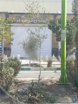 داروخانه دکتر فرانه احمدی در بهارستان اصفهان