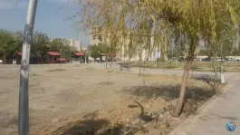 عکس های دانشگاه پیام نور ماهدشت کرج