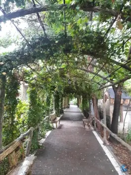 عکس سالن ورزشی بابک مروج در محله جانباز مشهد 3
