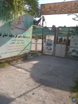 عکس بازار دائمی گل و گیاه قم، بلوار امام موسی صدر، قم 2