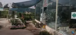 عکس بازار دائمی گل و گیاه قم، بلوار امام موسی صدر، قم 10
