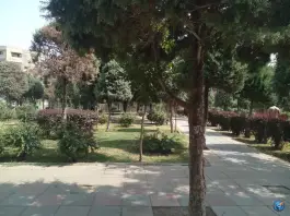 عکس مجموعه اتاق فرار دوریس؛ کرج نو، کرج 2
