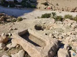 عکس عمارت شیرینه، دشتی، بوشهر 5