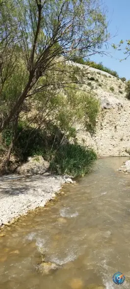 عکس تفرجگاه چشمه سار بهشت، ارژن، شیراز 3