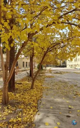 عکس دانشگاه فرهنگیان اصفهان، بلوار کاوه، محله شیخ اشراق 7