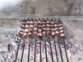 عکس مسترجیگر انار 3