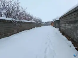 عکس مجموعه باغی پردیس در شیراز 2
