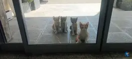 عکس هتل دانش تهران پژوهش 2